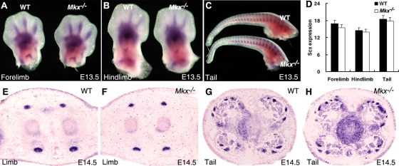 FIG. 6.