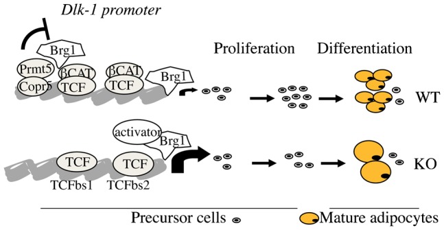 Fig. 4.