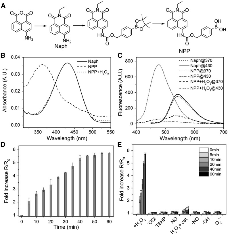 Figure 2.