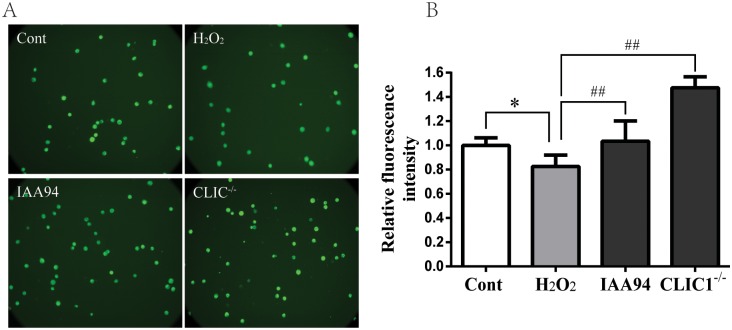 Fig 9