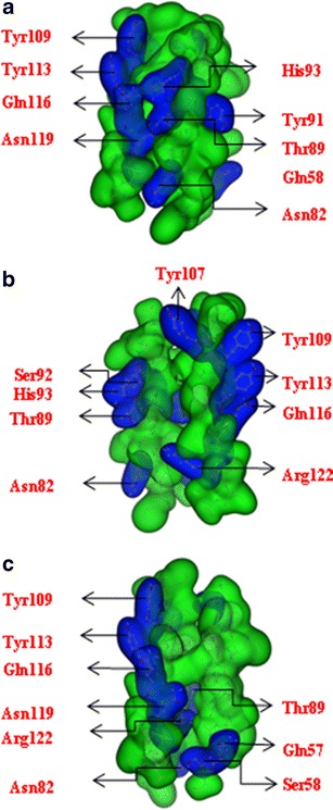 Fig. 3