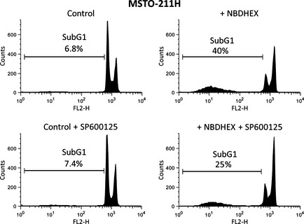 Figure 6