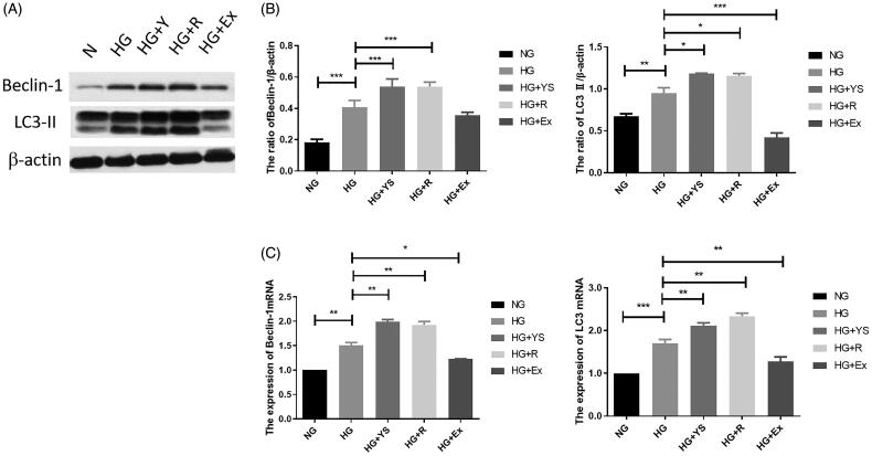 Figure 6.