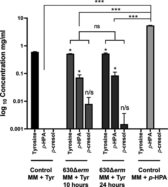 FIG 6