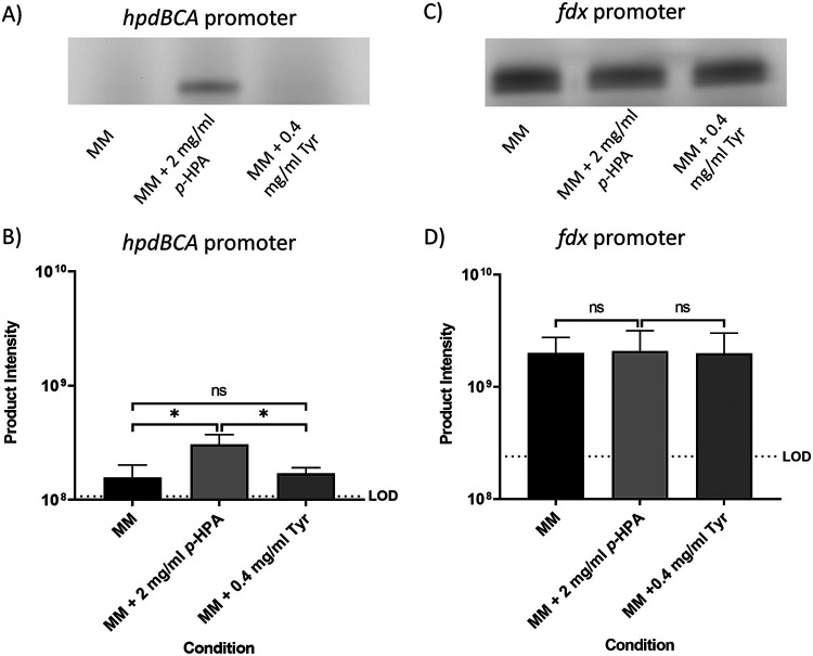 FIG 2