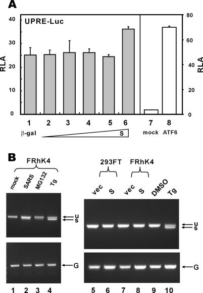 FIG. 5.