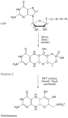 Figure 17