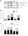 Figure 11