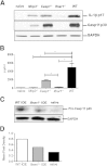 Figure 10