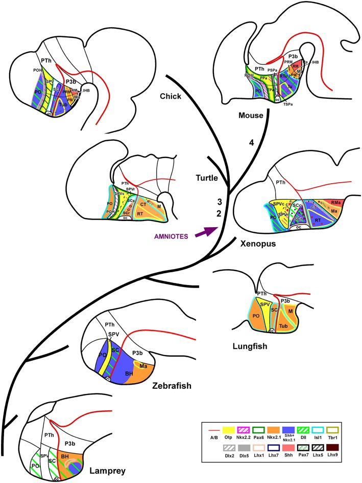 Figure 7