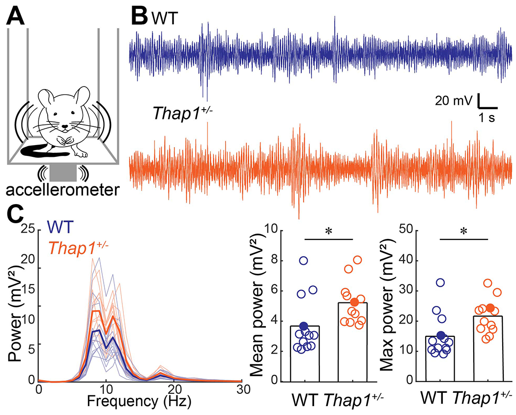 Figure 1: