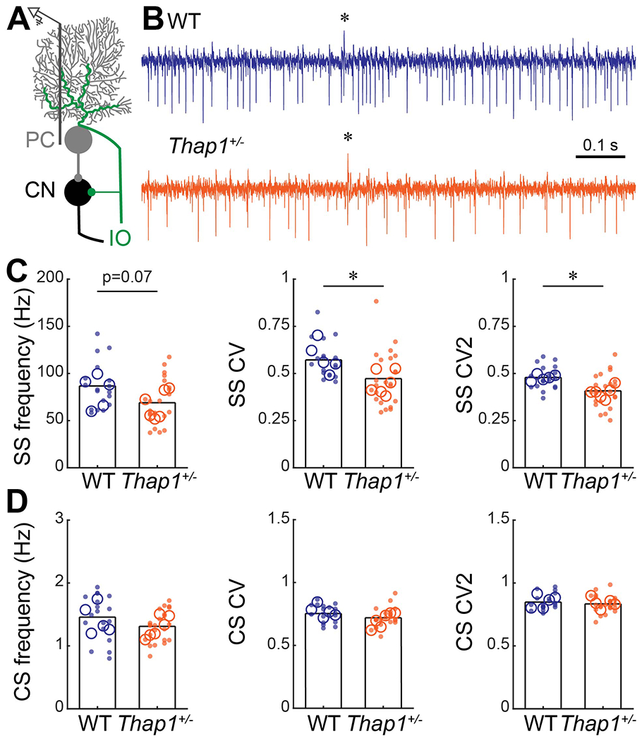 Figure 2: