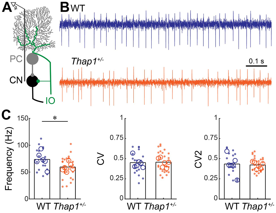 Figure 4: