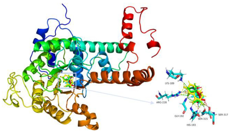 Figure 4