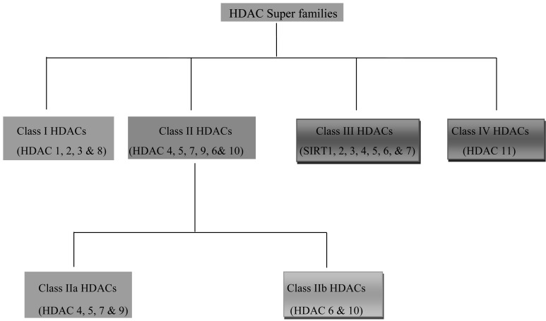 Fig. (1)