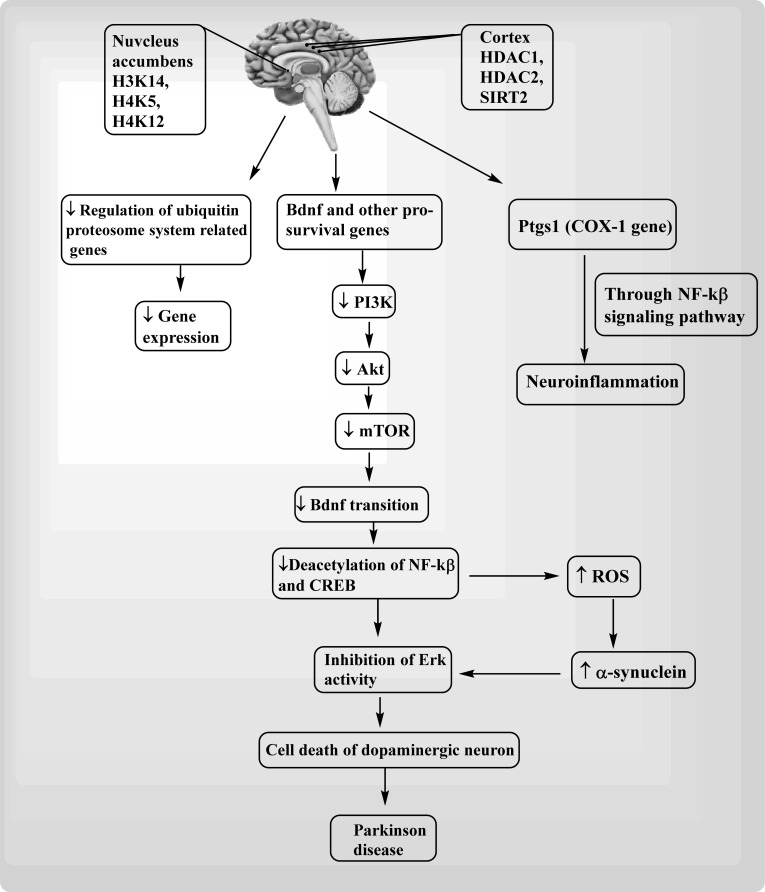 Fig. (3)