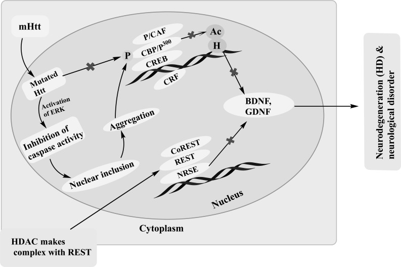 Fig. (4)