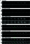 Extended Data Fig. 9