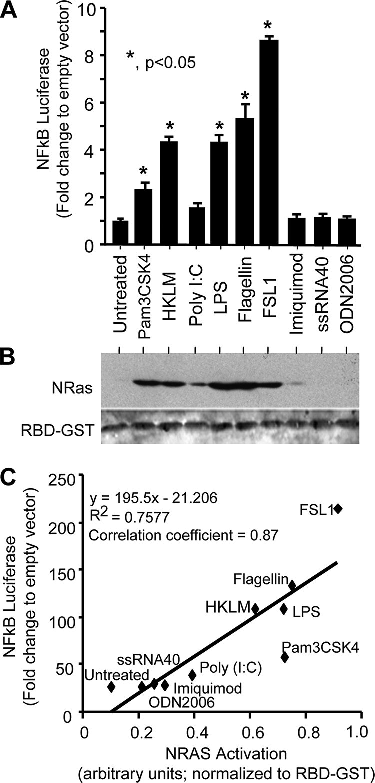 FIGURE 2.