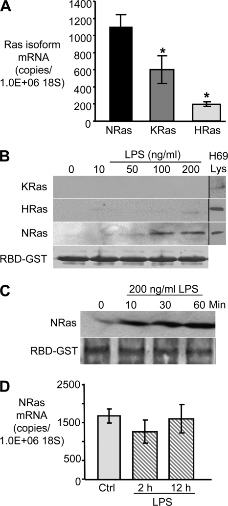 FIGURE 1.