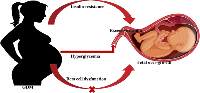 Appendix figure 1.