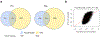 Extended Data Fig. 3