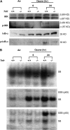 <b>Figure 2.</b>