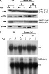 <b>Figure 3.</b>