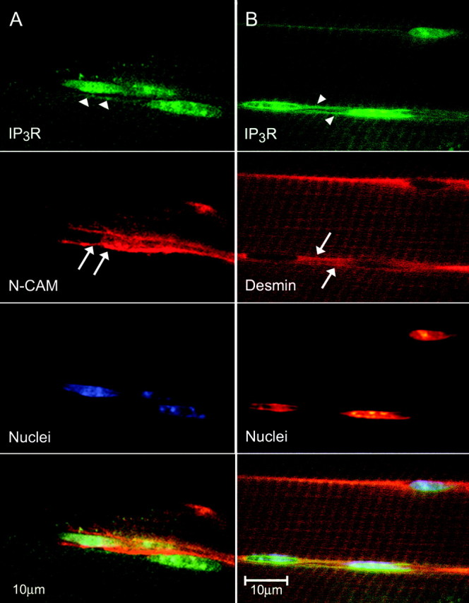 Figure 3.