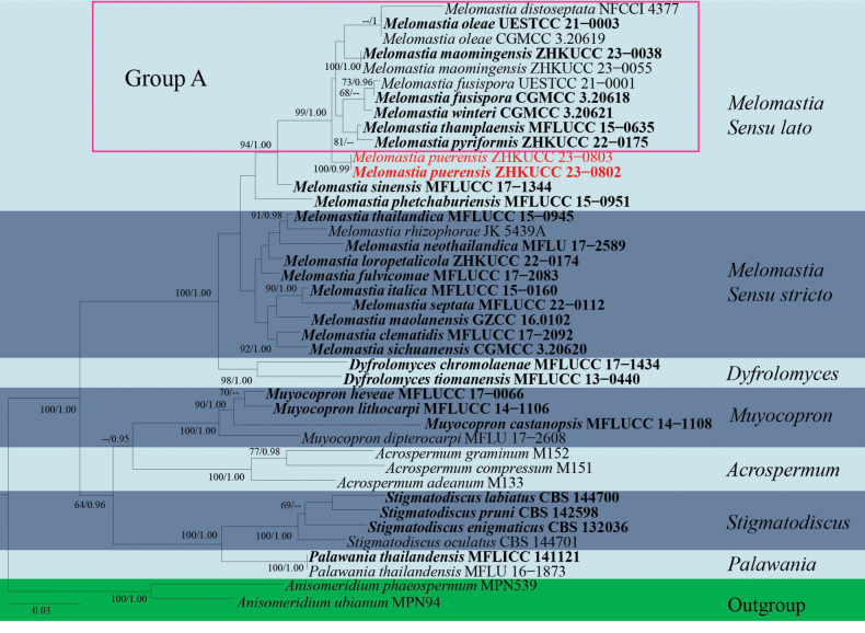 Figure 1.