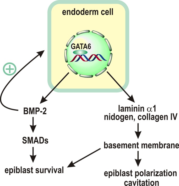 FIGURE 5: