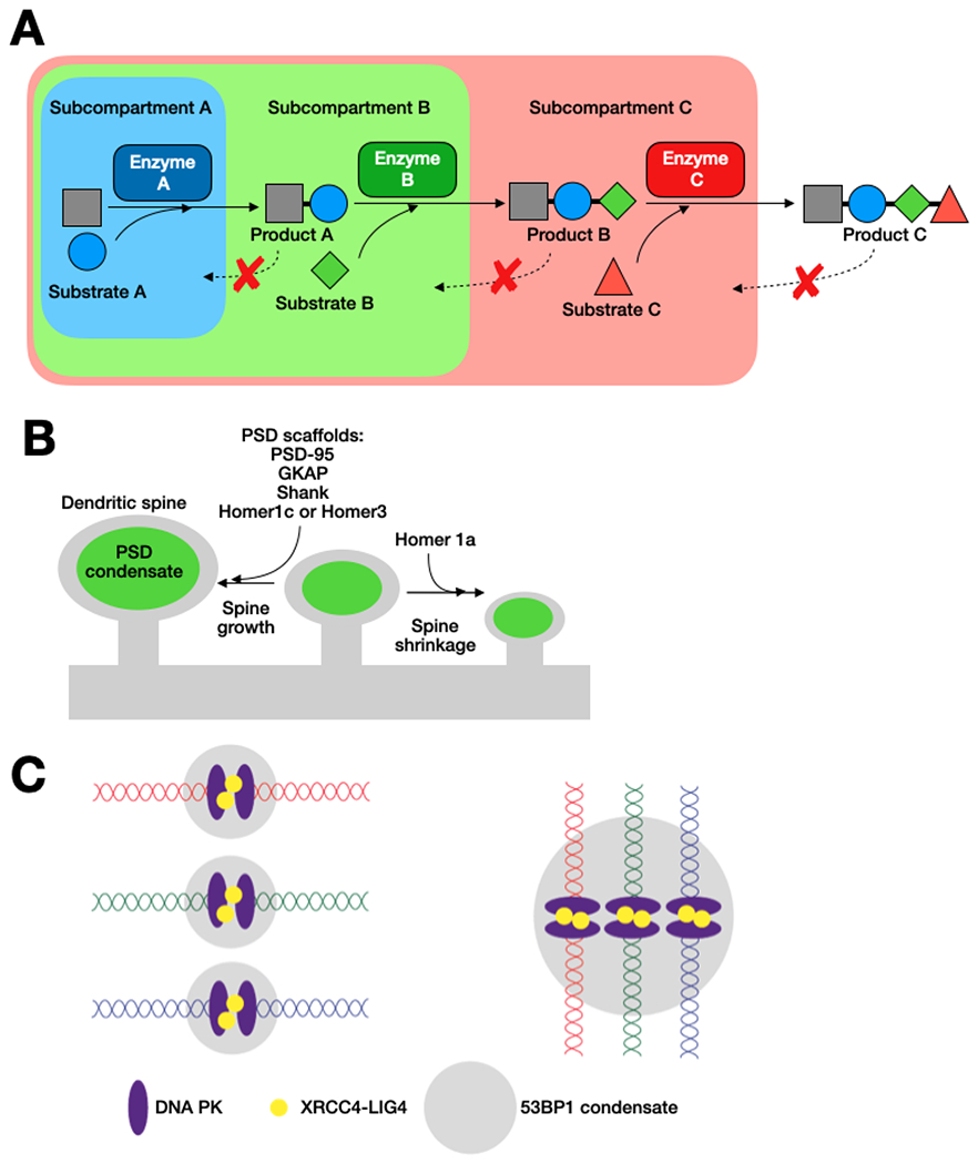 Figure 3 |