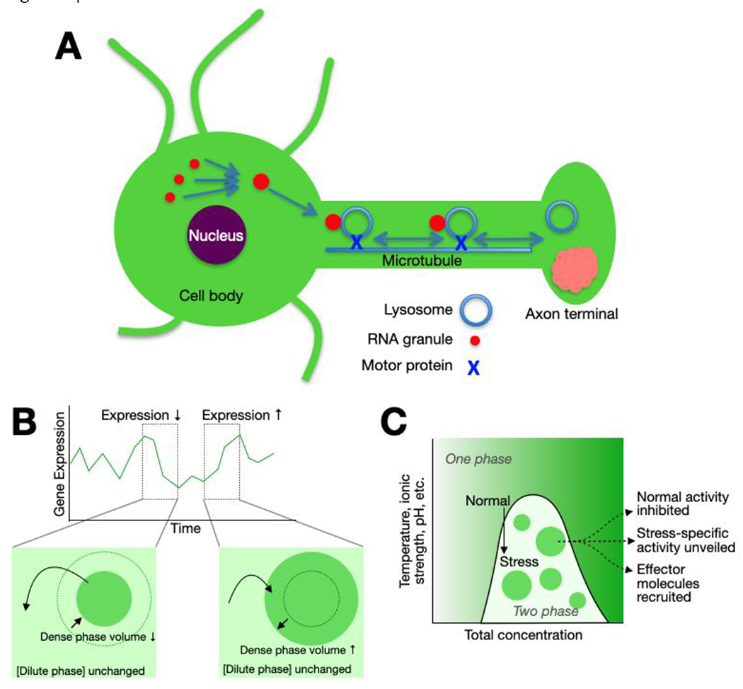 Figure 4 |