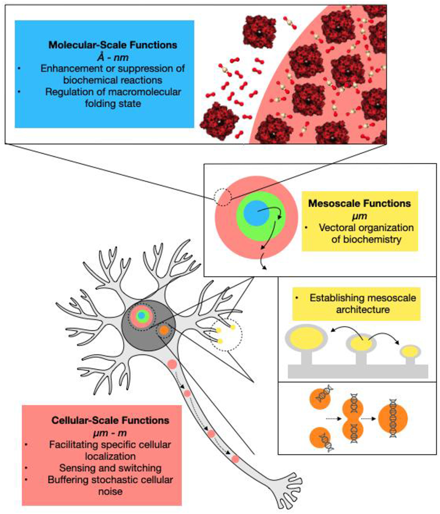 Figure 1 |