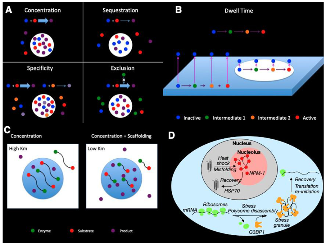 Figure 2 |