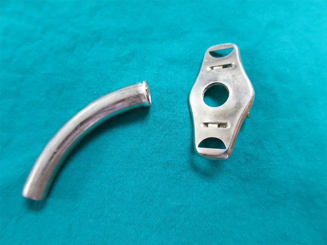 Fig. 2