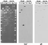 FIG. 7