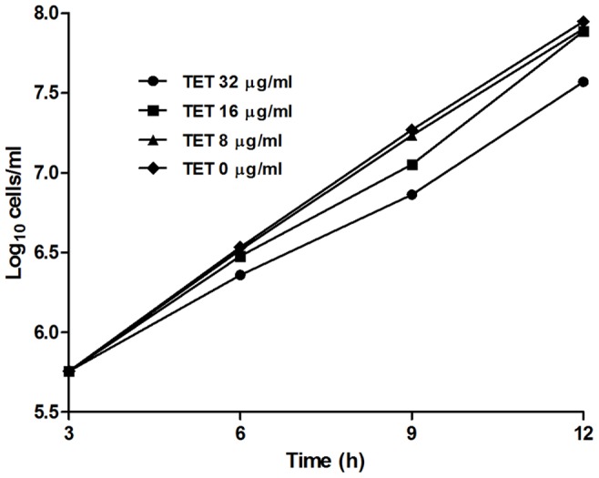 Figure 5