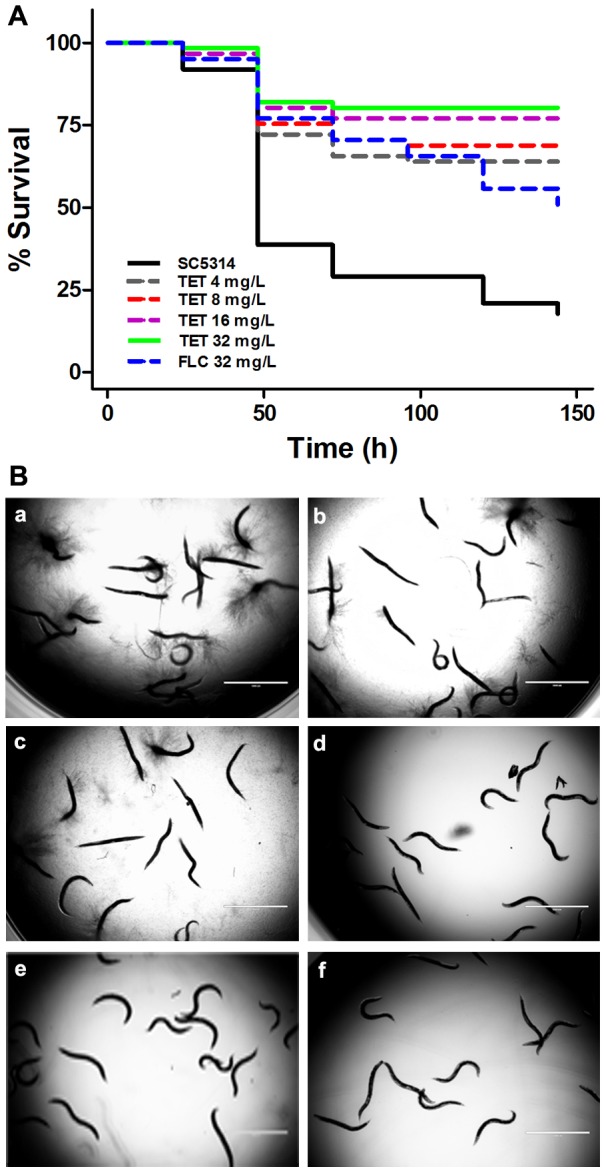 Figure 10