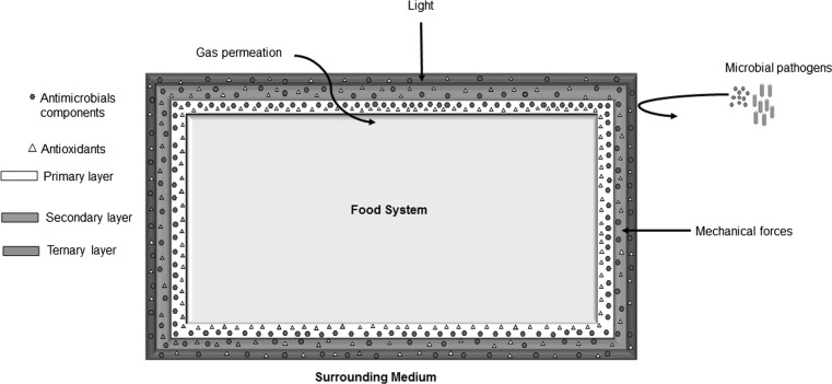 Fig. 1