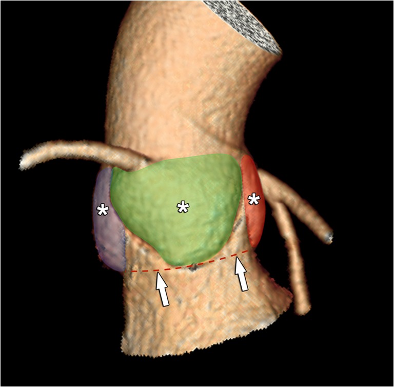 Fig. 10