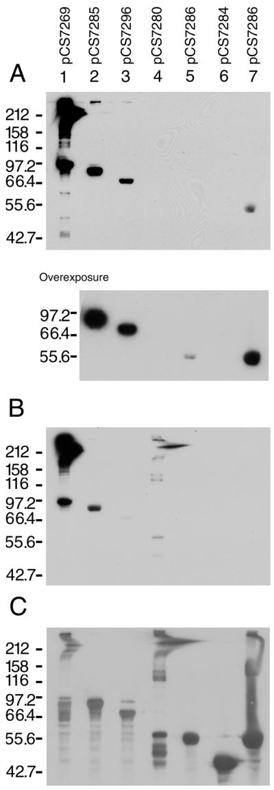 FIG. 6