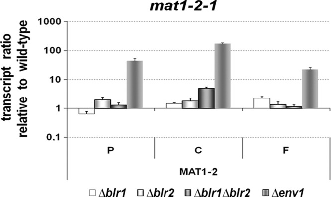 Fig 7