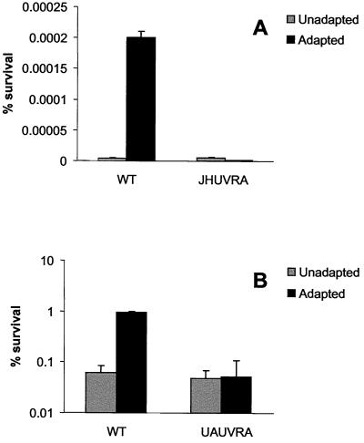 FIG. 7