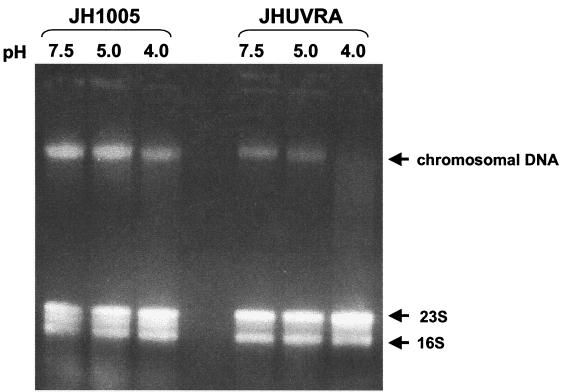 FIG. 8