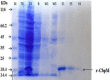 Fig. 3: