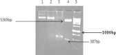 Fig. 1: