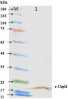 Fig. 4: