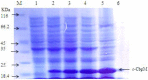 Fig. 2: