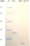 Fig. 6:
